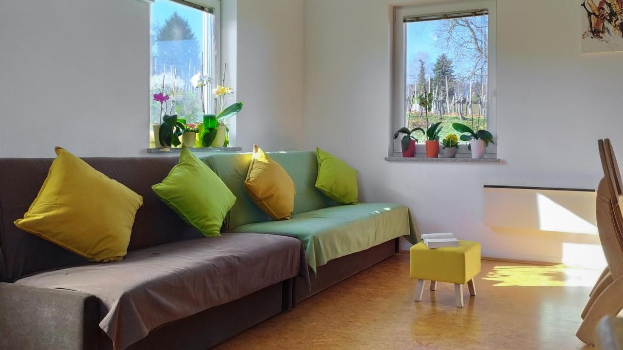 Apartments Vinska Trta 卡特兹奥布萨维 外观 照片