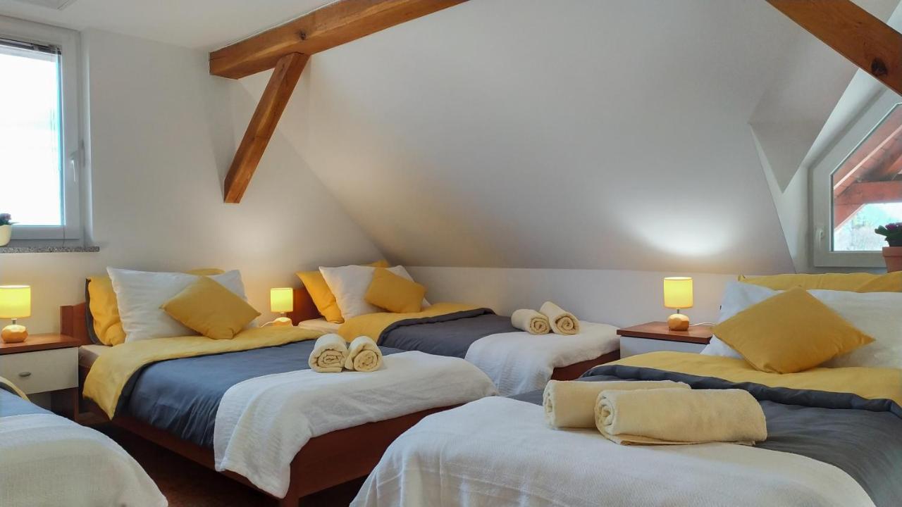 Apartments Vinska Trta 卡特兹奥布萨维 外观 照片